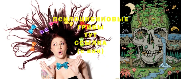 спиды Белоозёрский