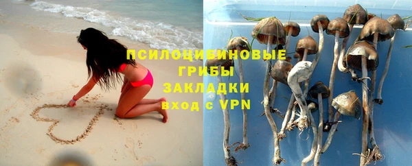 гидра Беломорск