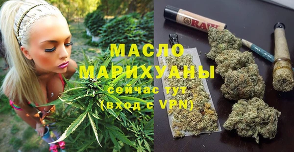 шишки Заволжск